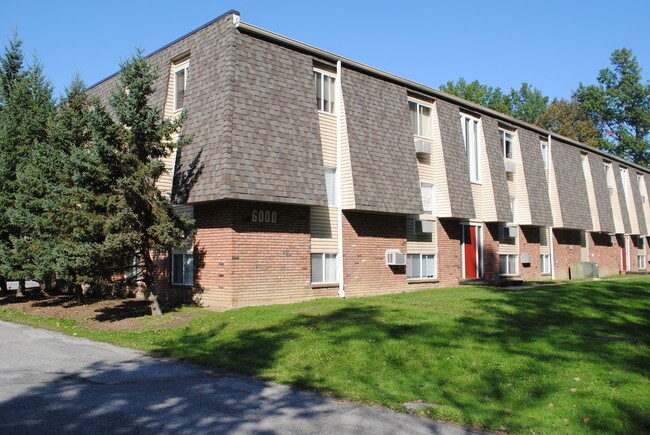 Creek Apartments