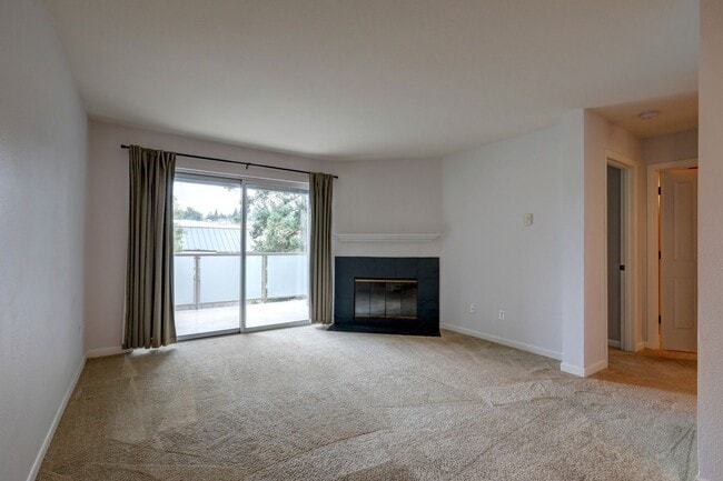 Photo - Spacious 1bd, 1ba Condo Available in Perfe... Unit 204