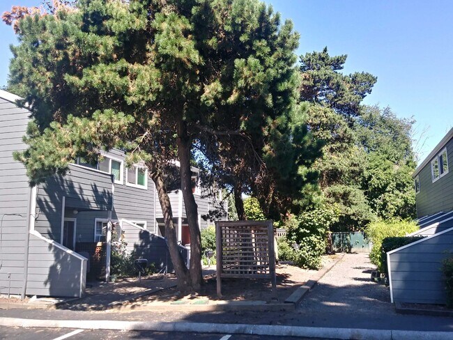 Photo - Maple View Apartments