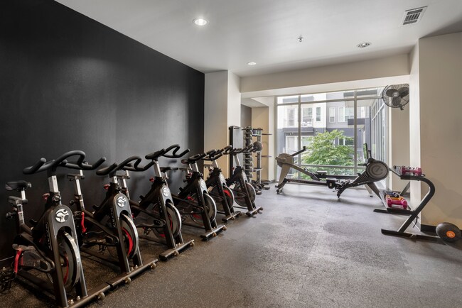 Photo - Macallan on Ross