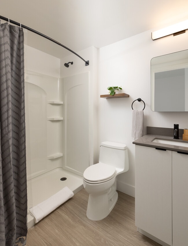 Photo - ArtHaus Brush