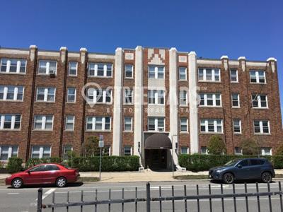 Photo - 1 bedroom in Boston MA 02135