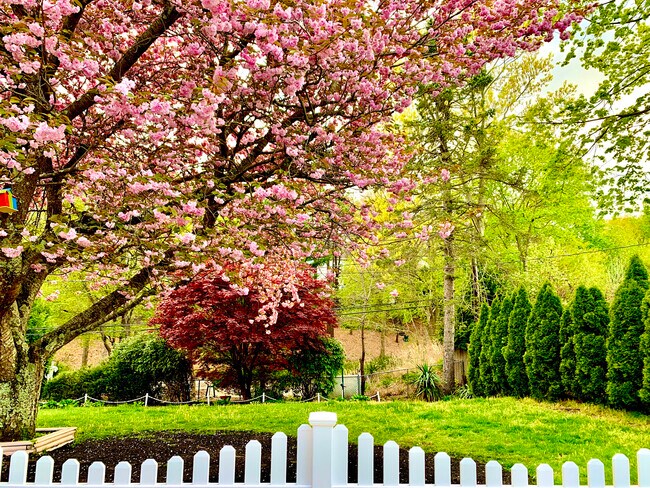 Photo - 16 Chivalry Ln