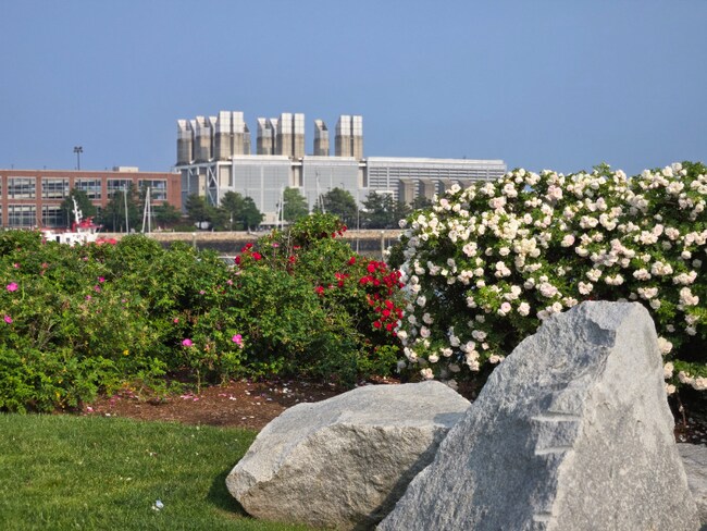 Photo - 50 Jeffries St Unidad 1