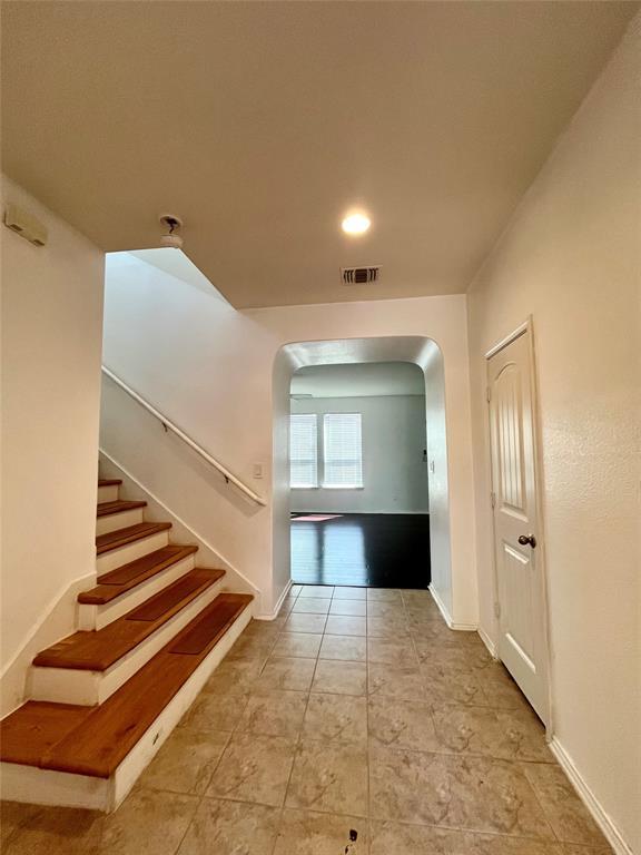 18305 Pencil Cactus Dr