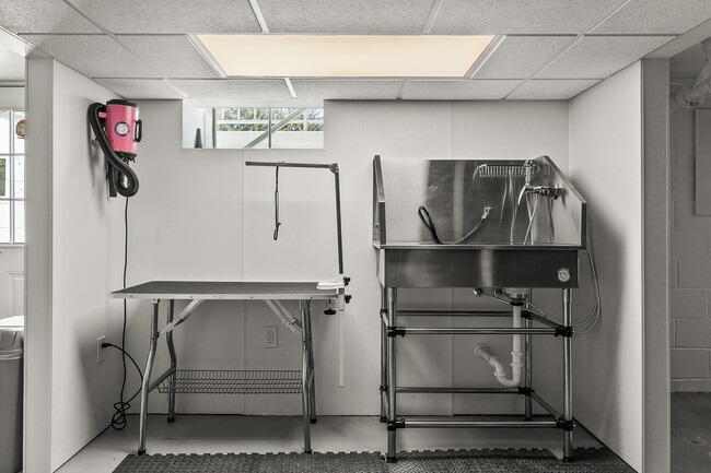 Pet Washing Station