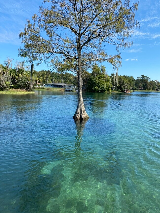 Photo - 9938 N Athenia Dr