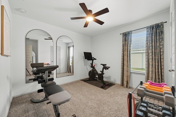 Building Photo - 1137 Buffalograss Trl