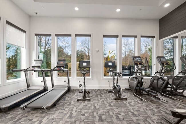 Allora Pines