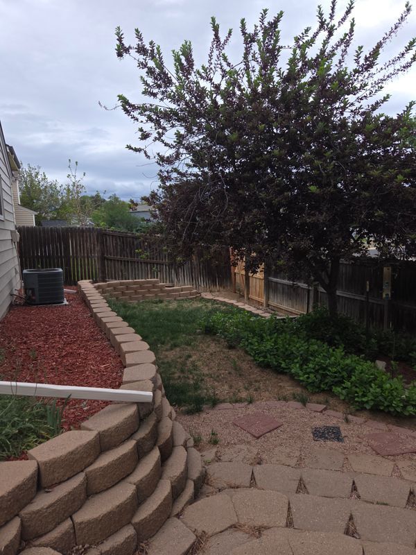 Photo - 11284 Forest Dr