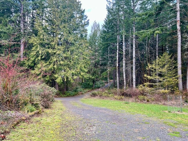 Photo - Private 5 Acres