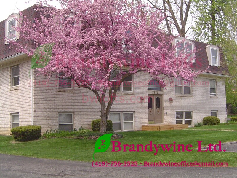 Photo - Brandywine Appartments - Robinhood