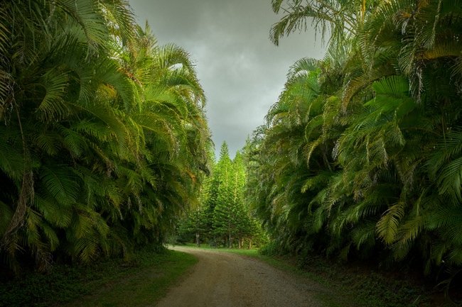 Photo - 1949 W Kuiaha Rd