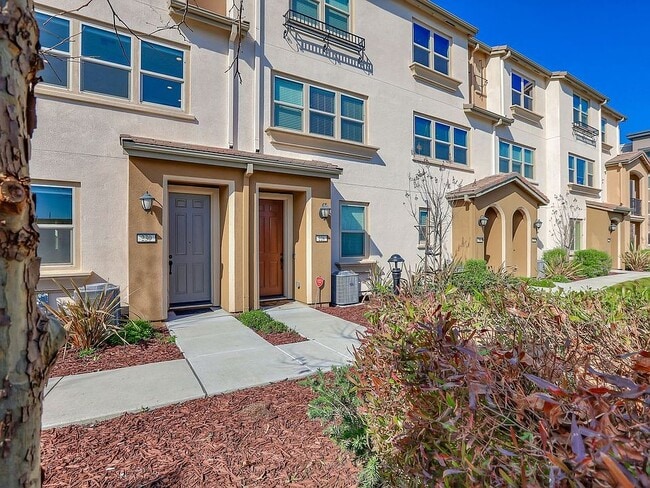 Building Photo - 226 Rosarno Ct Rental