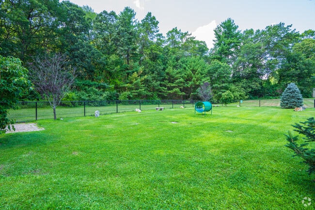 Dog Park