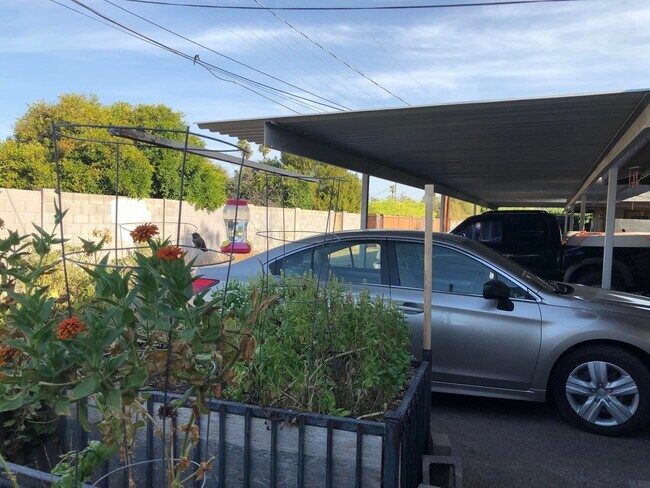 Photo - 2020 S Granada Dr Unit 4