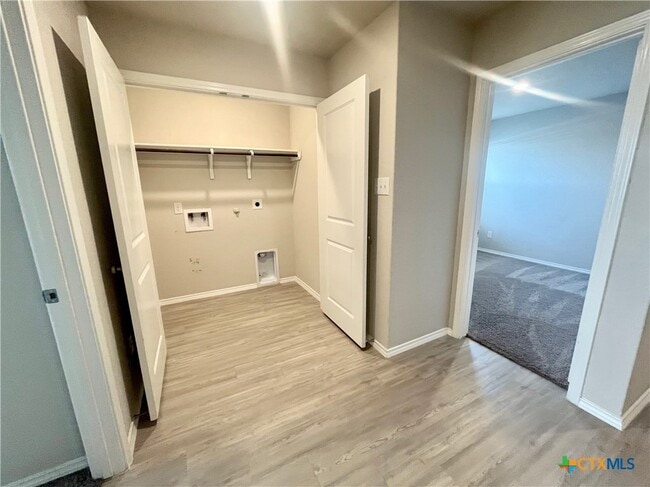 Photo - 1924 Green Warbler