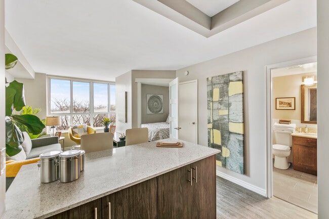 Jr. 1 Bed - Shoreline Towers