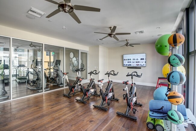 Spin & Yoga Studio | Virtual Fitness Trainer
