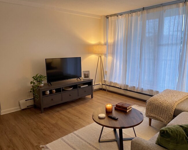 Living Room - 16 Addington Rd Unit 16 Addington Rd Apt 12