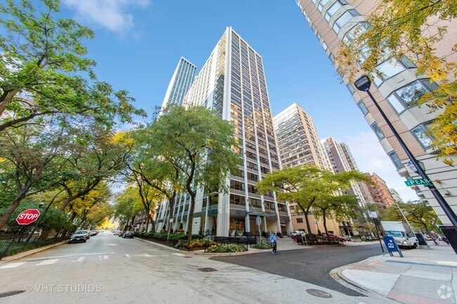 Building Photo - 222 E Pearson St Unit 1807 Rental