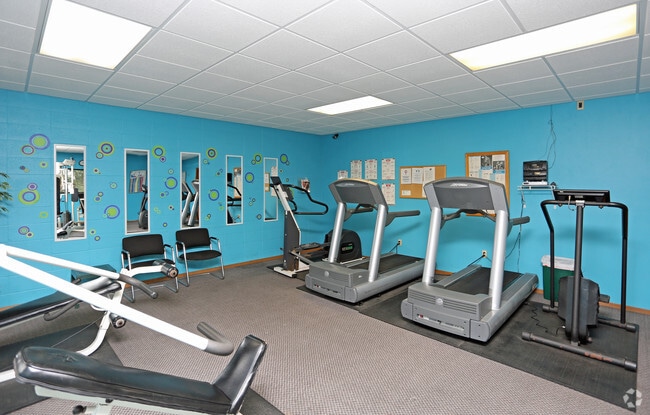 Cardio Equipment in Gym