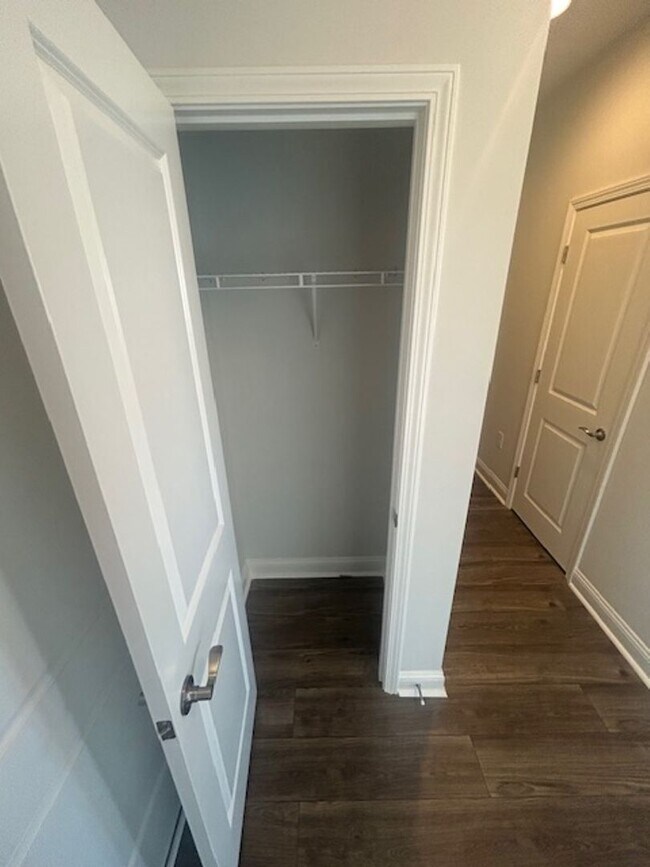 Photo - Berkshire Forest