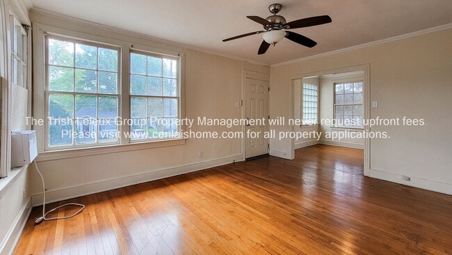 Photo - ** Large 1/1 ready now**