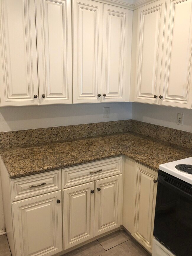 Photo - Cambridge Garden