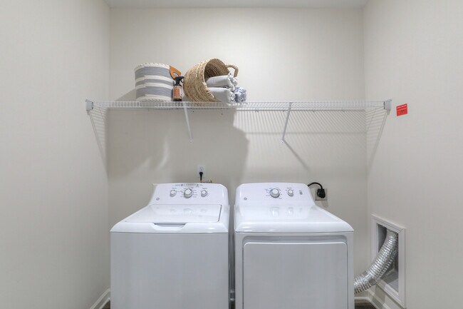 Photo - Waterleaf at Old Franklin