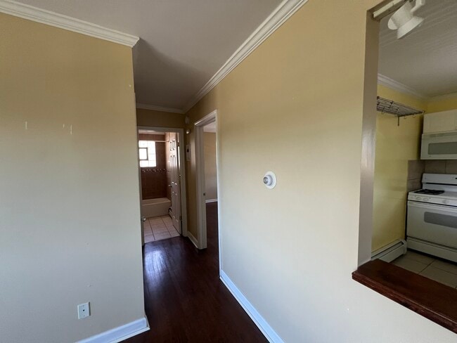 Photo - 236 Johnson St