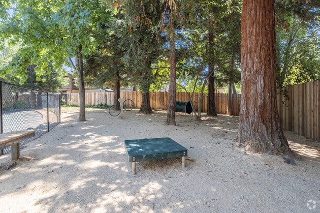 Dog Park