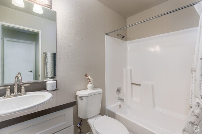 Bathroom 1 - The Springs Apartments