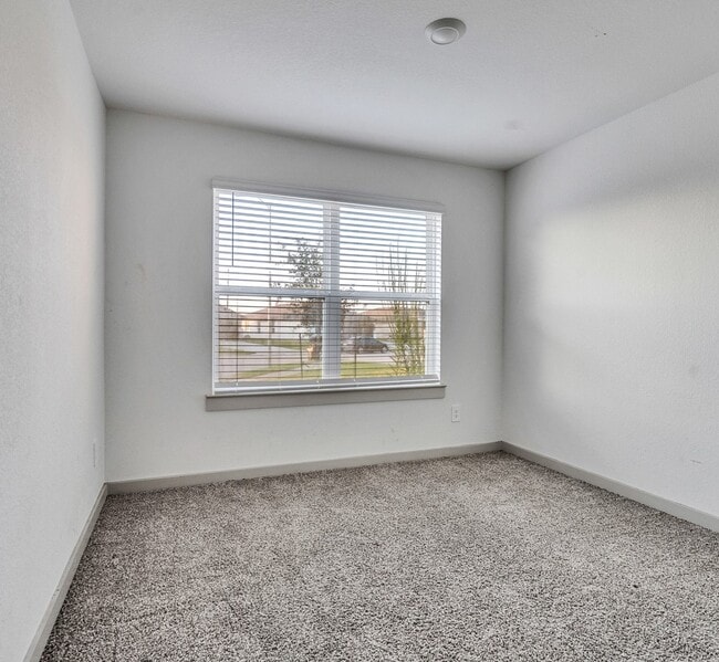 Photo - 14510 Rain Tree Dr