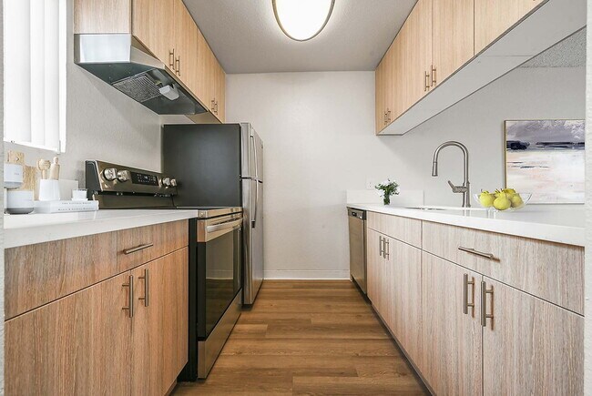 Photo - Shadow Point