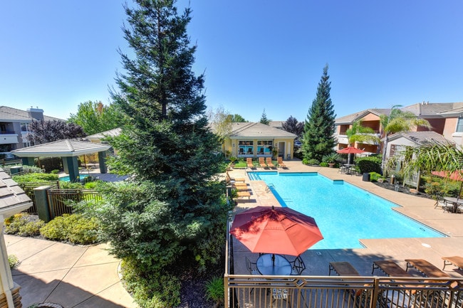 Beautiful Pool Views