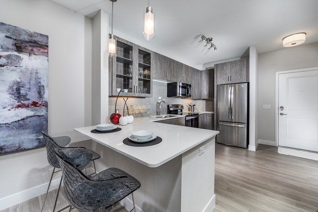 Elegant Kitchen - Overture Kierland 55+ Active Adult Apartme...