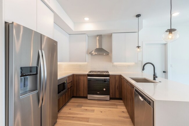 Photo - The Vine (1723)