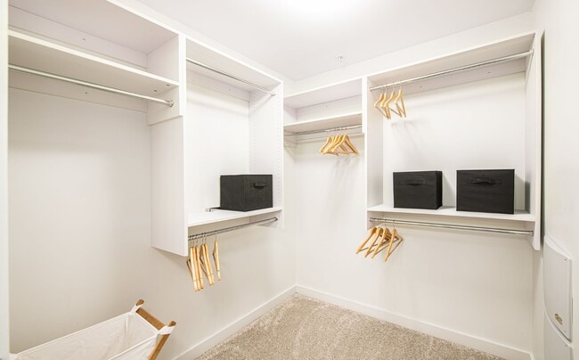 Deca Camperdown Apartments