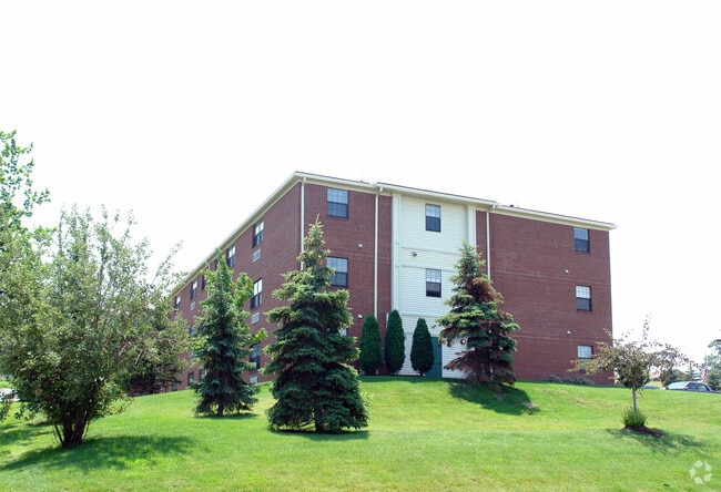 Photo - Angelique Woods