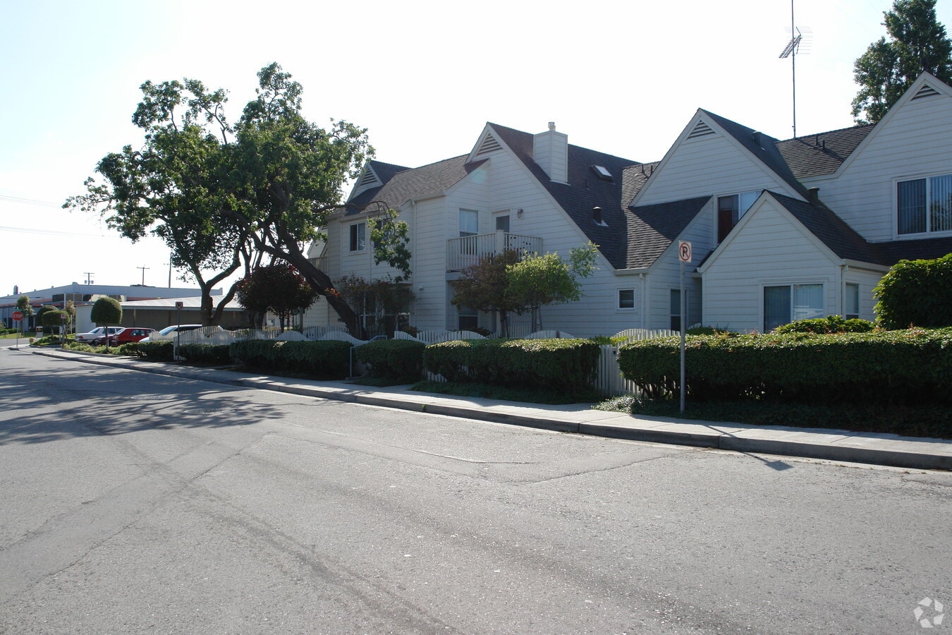 Photo - Laureola Oaks
