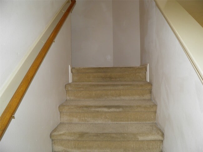 Photo - 2907 Morton Cove Ln