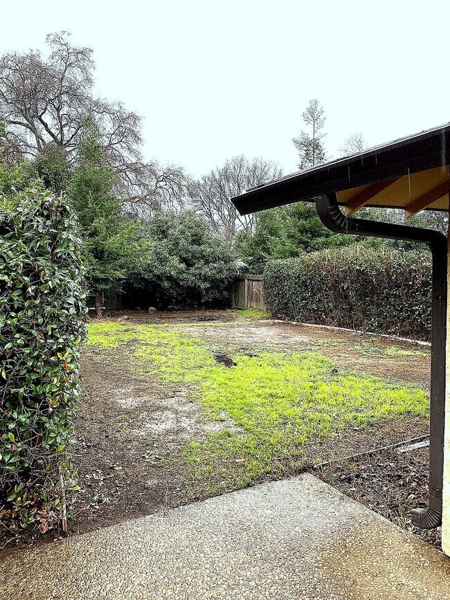 Photo - Beautiful Shaded Neighborhood in North Chi...