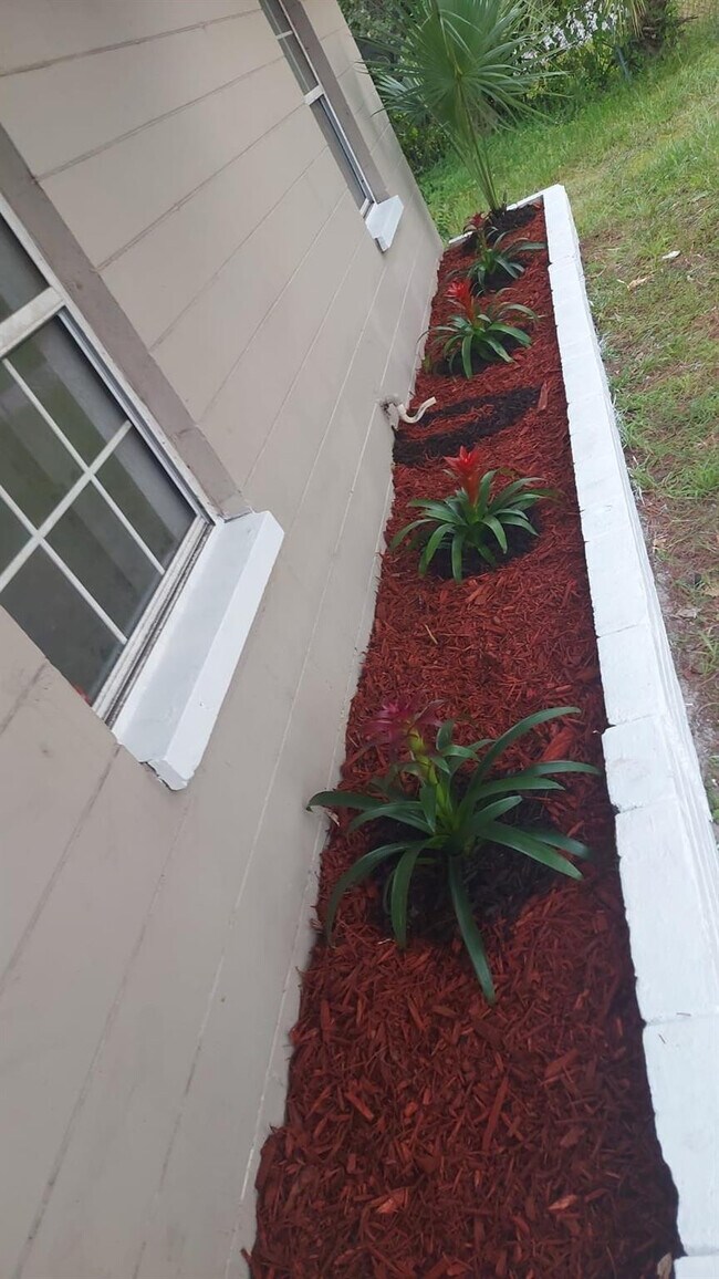 Photo - 216 Maria St