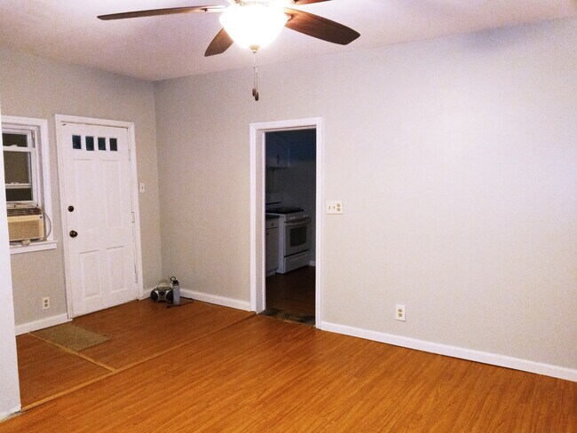 Entry and Living Room #1 - 213 W Nicholson Rd House