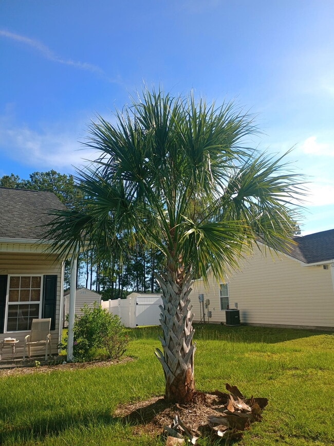 Photo - 133 Cottage Creek Cir