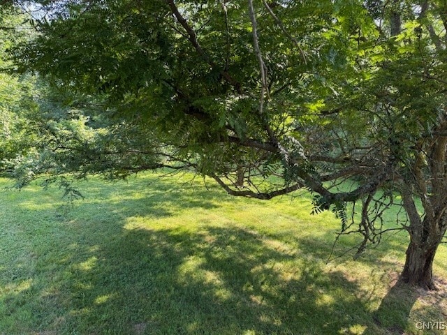 Photo - 3446 Oxbow Rd