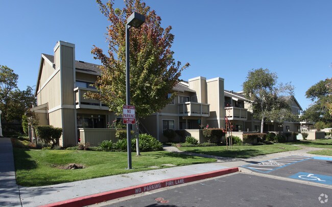 Meadows Apartments - Meadows Apartments