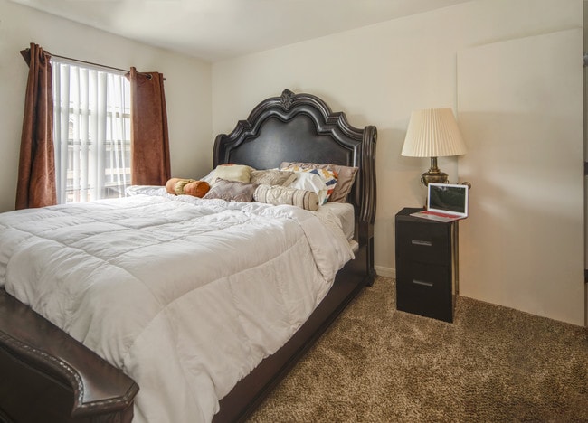 Photo - Allison Pointe