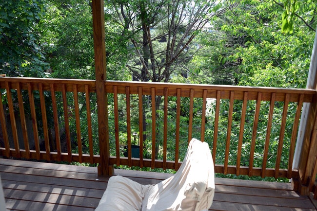 Photo - 19 Sunset St